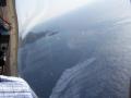 gal/Vacances/La_Cote_d_Azur_Vue_du_Ciel/_thb_Grasse2007 113.jpg